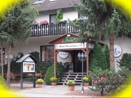 照片: Butterfly (im Hotel Kurmainzer Eck)