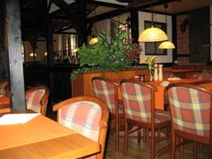 照片: Butterfly (im Hotel Kurmainzer Eck)